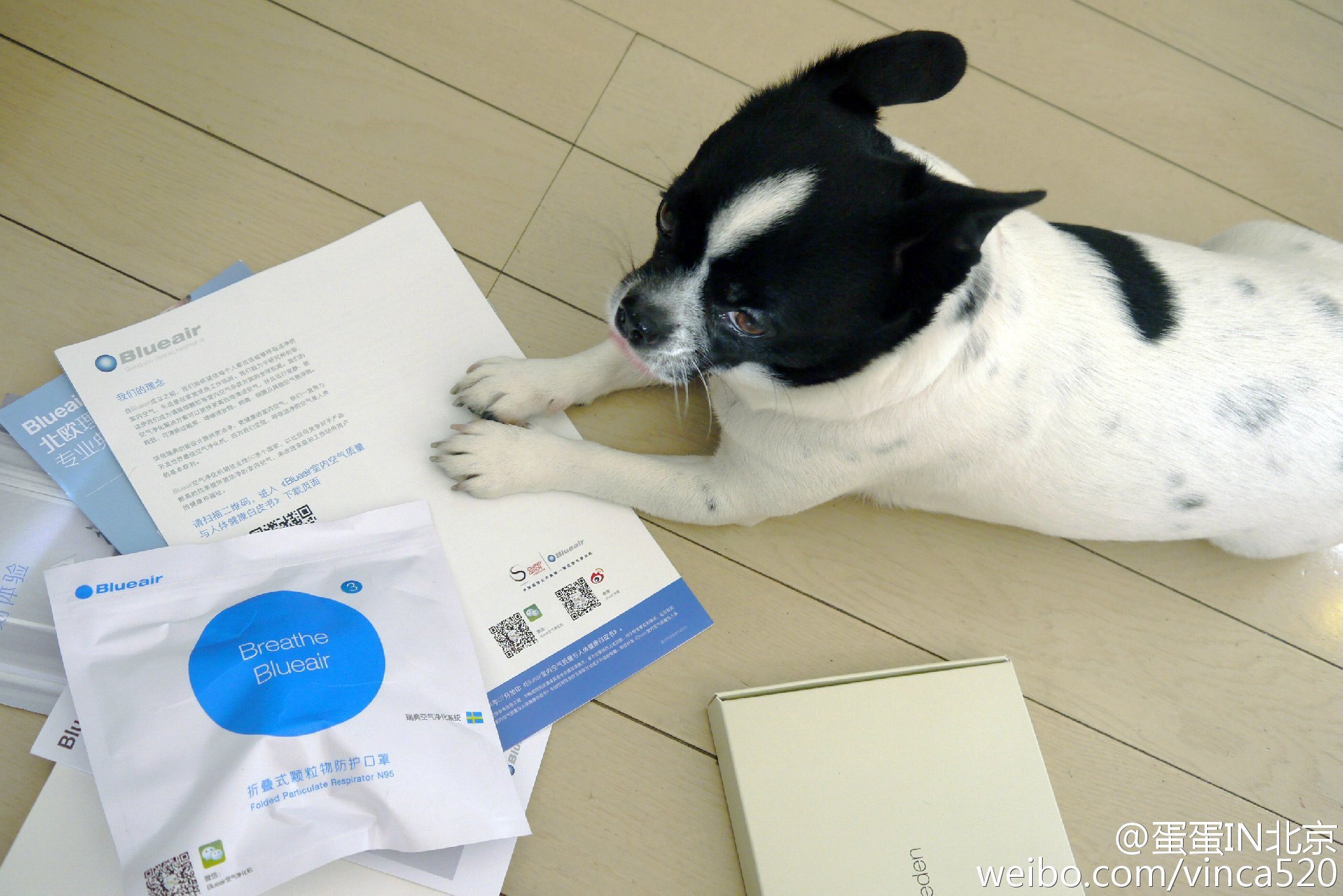 防霾！每家必备&nbsp;<wbr>Blueair空气净化器