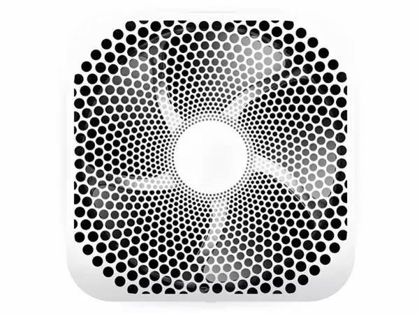 1495687233546875.jpg 5.jpg