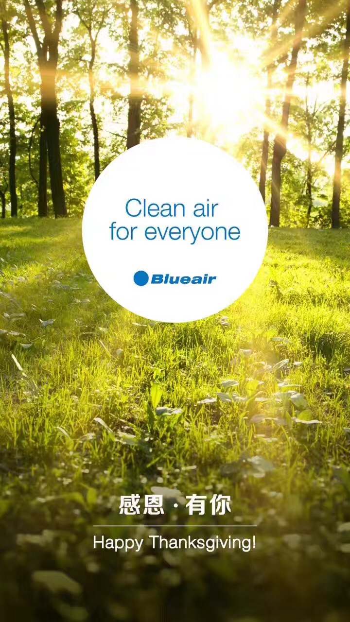 瑞典布鲁雅尔二十年感谢有您 瑞典布鲁雅尔二十年感谢有您