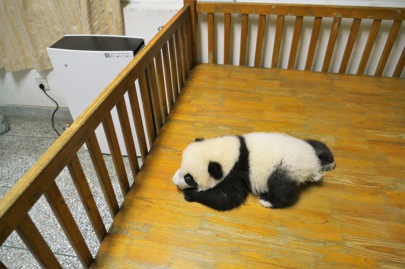 点击放大图片浏览