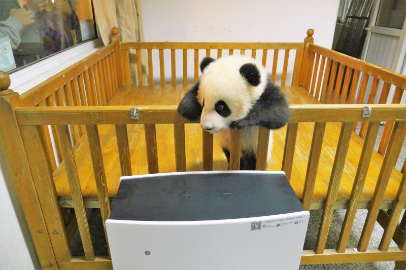 点击放大图片浏览