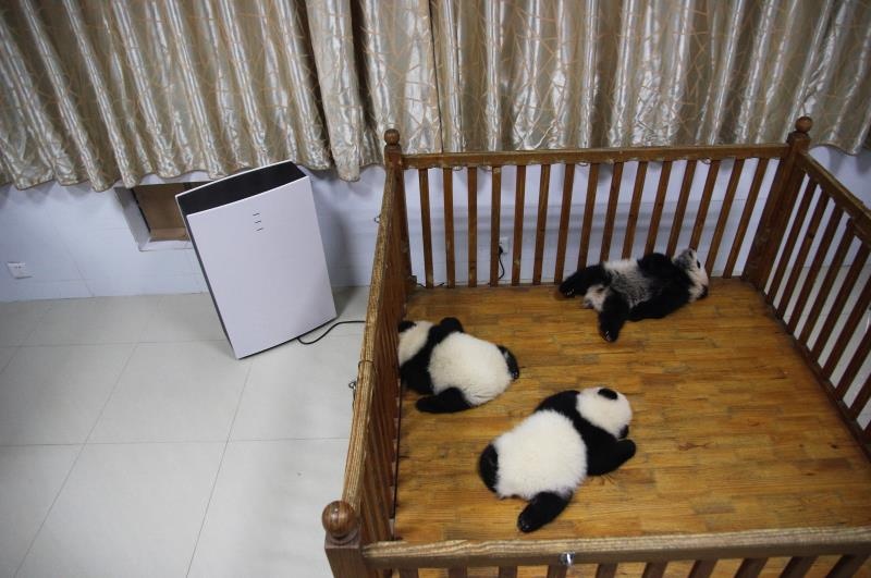 点击放大图片浏览