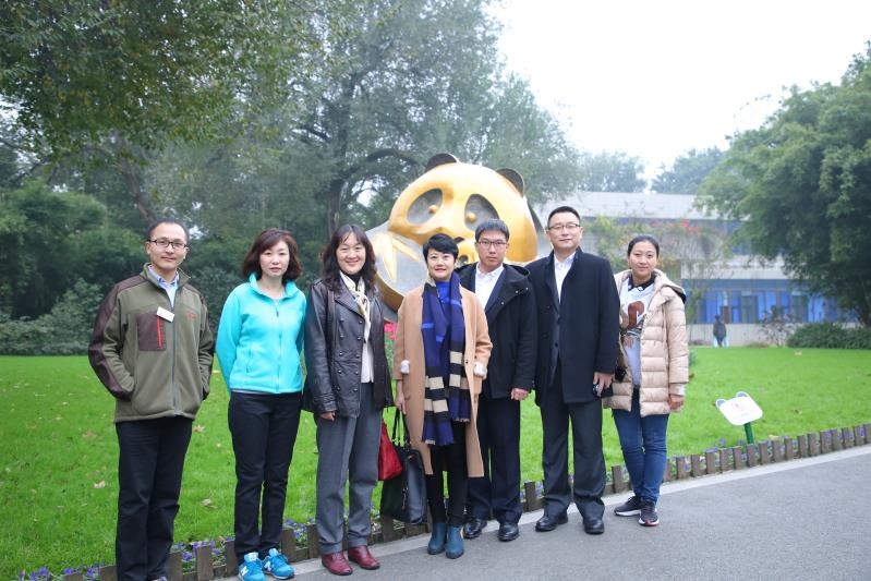 Blueair与大熊猫的情缘