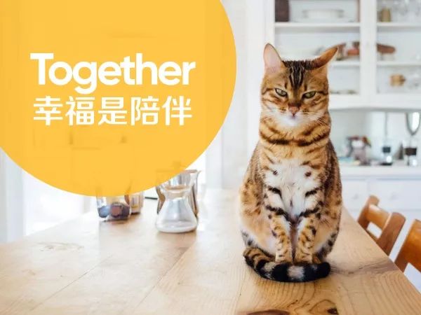 开启洁净呼吸时,健康幸福已经在像您招手啦! 洁净呼吸的来源,城市洁净呼吸,呼吸健康