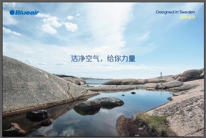 中信集团春季内购blueair