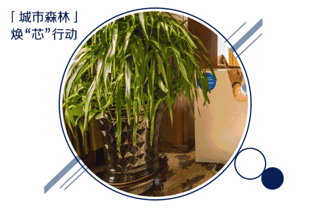 联合利华旗下blueair空气净化器提倡酒店客房服务“星”标准-Blueair Zone blueair,blueair空气净化器,空气净化器,净化器,空气净化,blueair zone,酒店用空气净化器,酒店安的空气净化器