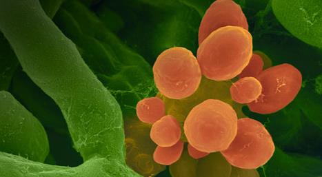 高效消灭过敏源 空气净化器哪个牌子好?