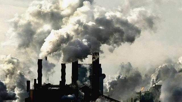 1546225492453866.jpg 1.jpg