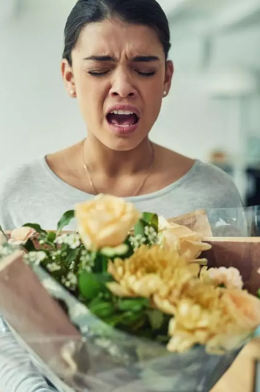 1555116218400266.jpg blueair防过敏,防过敏净化器,能去过敏的空气净化器