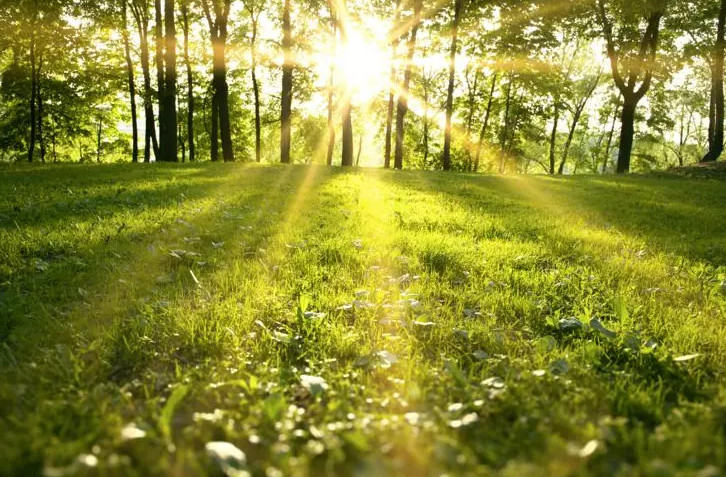 1555116236488170.jpg blueair防过敏,防过敏净化器,能去过敏的空气净化器