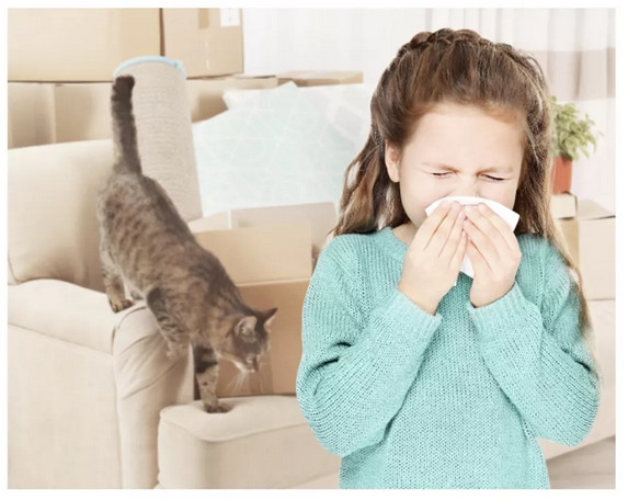 1557927648755837.jpg blueair除甲醛,blueair净化器去甲醛,blueair室内去甲醛