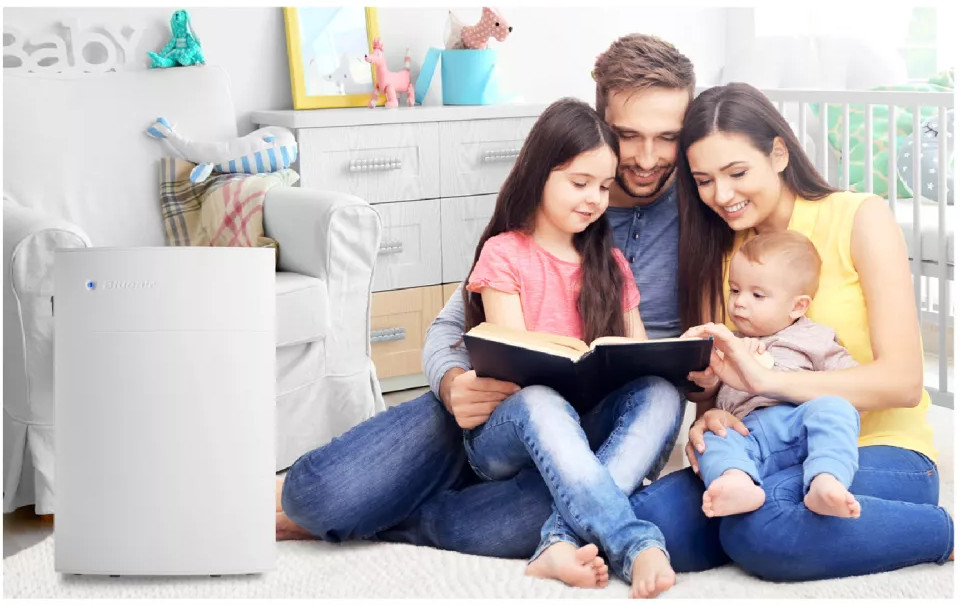 1558957209196145.jpg 05201927_03.jpg