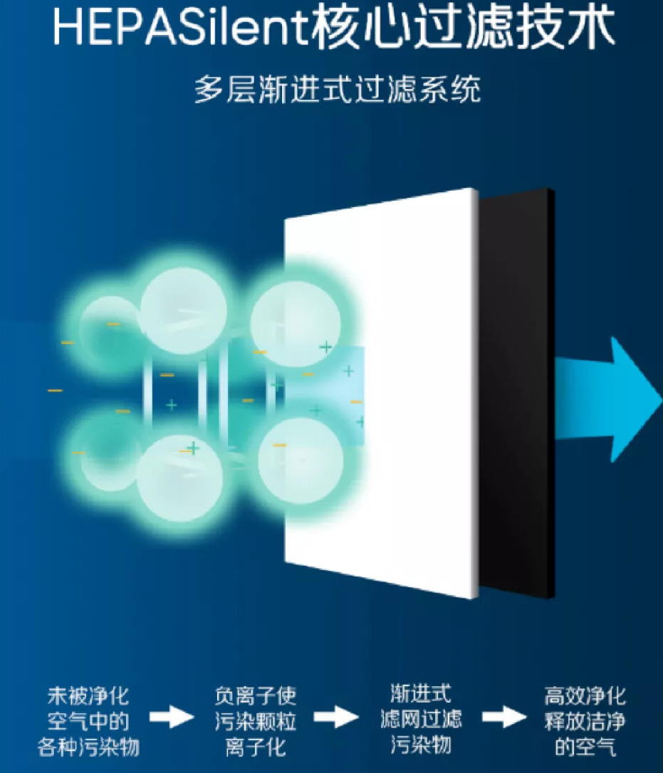 1558957347924364.jpg 05201927_10.jpg