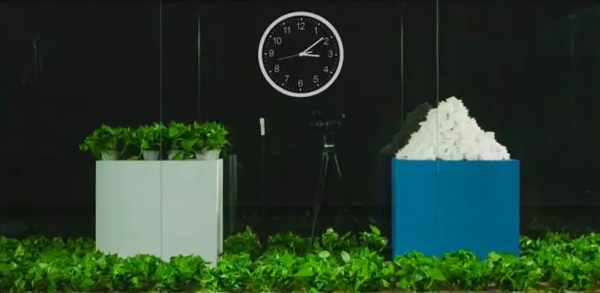 1559490049732239.jpg 平安好医生blueair,blueair平安好医生,blueair除甲醛,blueair去甲醛