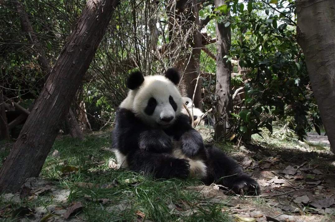 1622600555452710.jpg 06202102_06.jpg